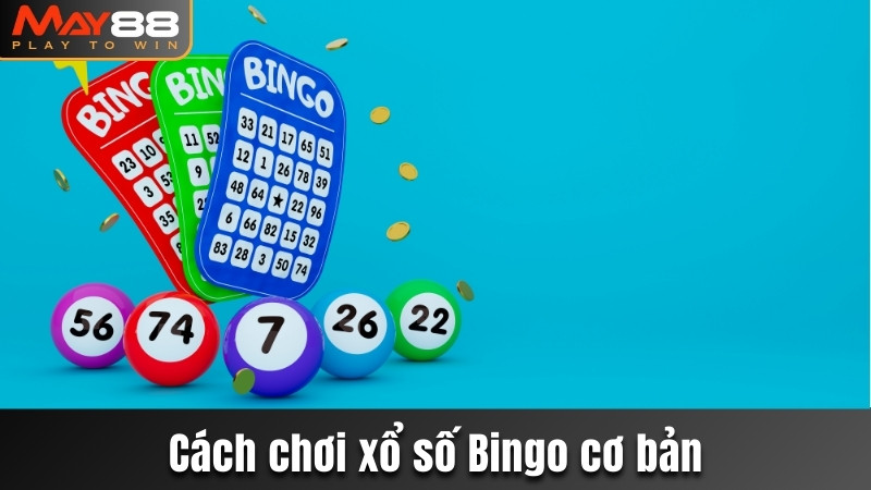 Cách chơi xổ số Bingo cơ bản
