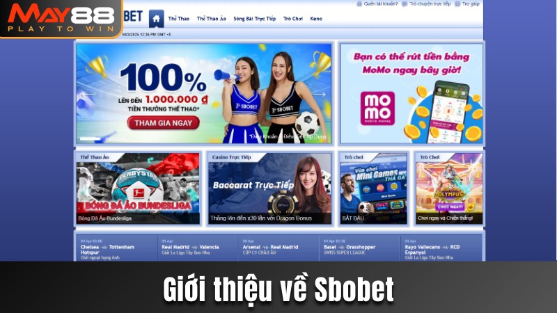 Giới thiệu về Sbobet