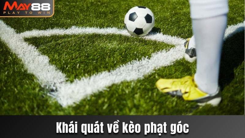 Khái quát về kèo phạt góc