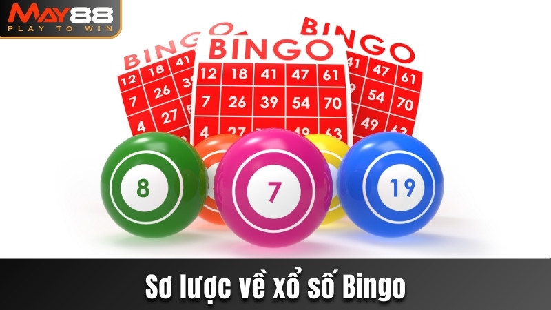 Sơ lược về xổ số Bingo